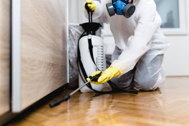Best Best Pest Control Companies  in Algona, IA