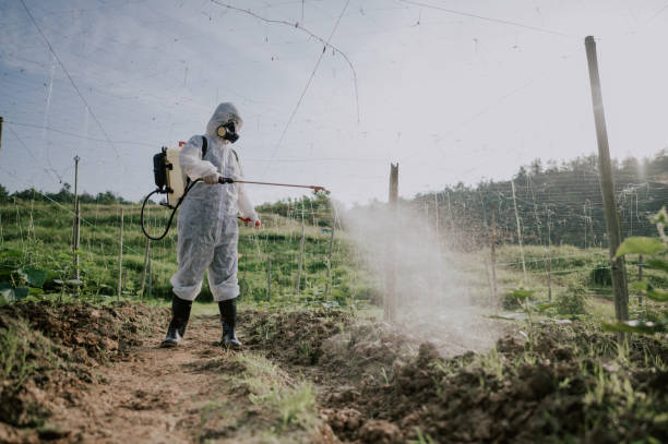 Best Commercial Pest Control Services  in Algona, IA
