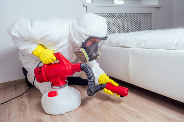 Best Wasp Removal Services  in Algona, IA