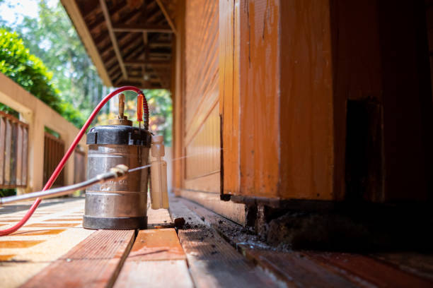 Best Pest Control for Homes  in Algona, IA