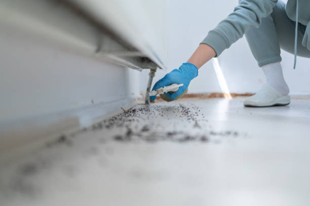 Best Pest Control Near Me in Algona, IA
