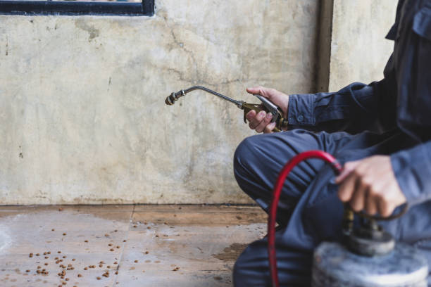 Best Flea Control Services  in Algona, IA